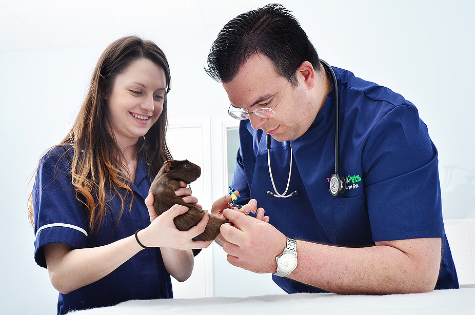 Vets PR Photography